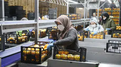 Saraylım Tarım, İflas Tehdidi Altında Konkordato Talep Etti