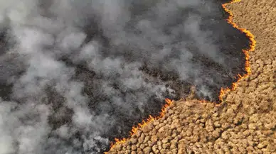 Yüksekova'daki Nehil Sazlığı'nda Yangın: Kuş Cenneti Tehlikede!