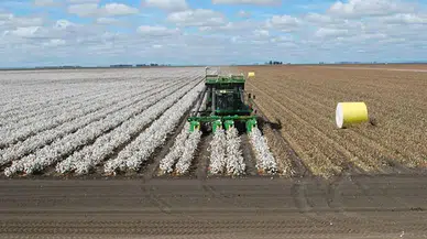Hilvan'da Pamuk Biçme Makinesi Faciası: Genç Bir Hayat Son Buldu