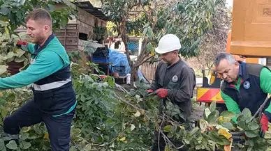 Trabzon'da Kışa Hazırlık: Ağaç Budama Ve Bakım Çalışmaları Başladı