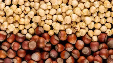 Fındık Fiyatları 9 Kasım’da Düştü, Üreticilerin Beklentileri Değişiyor