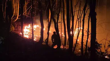 Kumru'da Örtü Yangını Ormana Sıçradı, Ekipler Seferber Oldu