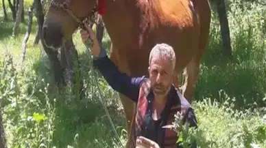 Diyarbakır'da Baba Cinayetinin Failine 15 Yıl 10 Ay Hapis Cezası!