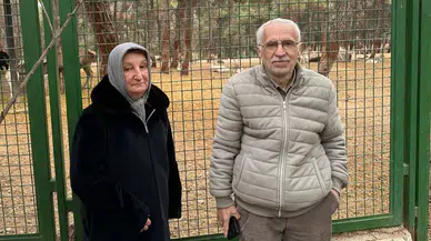 Bulancak'ta Feci Trafik Kazası: İki Kişi Hayatını Kaybetti