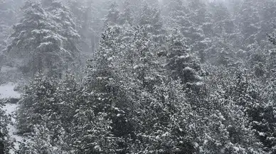 Zigana Dağı'nda Kar Yağışı! Doğa Tutkunları Eşsiz Manzarayla Buluştu