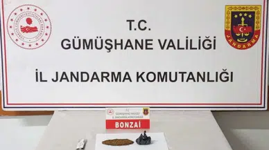 Gümüşhane'de Uyuşturucu Operasyonunda İki Şüpheli Gözaltına Alındı
