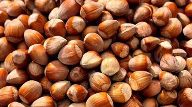 Trabzon'da Fındık Piyasasında Yeni Fiyatlar Belirlendi!