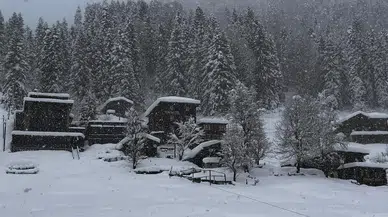 Doğu Karadeniz'de Yoğun Kar Yağışı Hayatı Olumsuz Etkiledi