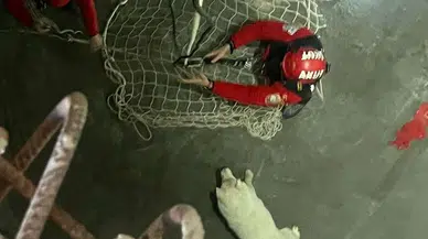 Trabzon'da Bir Köpek 7 Metrelik Kuyuda Mahsur Kaldı!