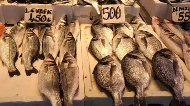 Kar Yağışı, Fırtına ve Hamsi Kıtlığı Trabzon Balık Pazarını Etkiledi