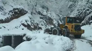 Trabzon'da Yoğun Kar Yağışı 24 Mahalle Yolunu Kapattı