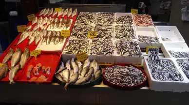 Karadeniz'deki Şiddetli Fırtına Balıkçılığı Sıkıntıya Soktu