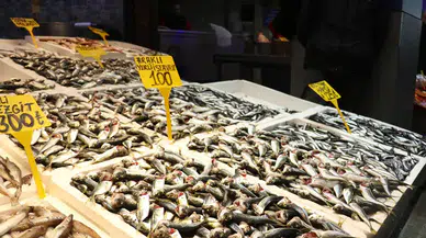 Trabzon’un Balık Pazarları'nda İstavrit Dominasyonu