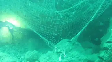 Karadeniz'deki Hayalet Ağlar Ekosistemi Tehdit Ediyor