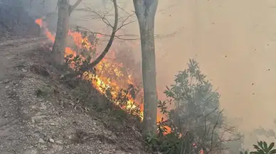 Trabzon'da 35 Noktada Çıkan Örtü Yangınları Kontrol Altına Alındı
