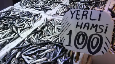 Karadeniz'de Hamsi Avı Sezonu Rekor Kırdı, Tezgahlarda Bolluk Var!