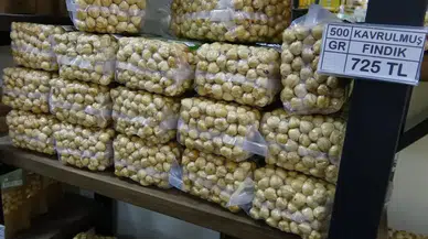 Fındık Fiyatlarında Düşüş ve Kavrulmuş Ürünlerde Yükseliş