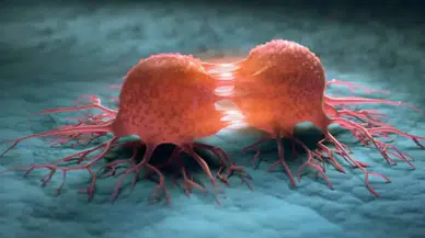 DSÖ: Kanser Vakalarının %37'si Önlenebilir Nedenlerden Kaynaklanıyor