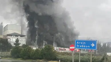 Arsin'de Fındık Fabrikasında Yangın: Ekipler Seferber Oldu