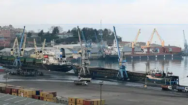 Trabzon Limanı'nda 19 Yasadışı Yaban Hayvan Trofesi Ele Geçirildi!