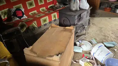 Kış Uykusundan Uyanan Ayılar, Yayla Evlerine Saldırarak Zarar Verdi!