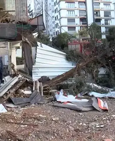 Maltepe'de Devrilen Çam Ağacı Park Halindeki Araca İsabet Etti