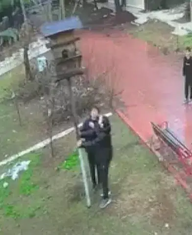 Adana'da Küçükler Dinozor Park'ta Kuş Yuva Yıkarak Doğaya Zarar Verdi!