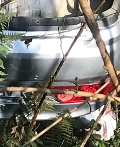 Beşikdüzü'nde Uçuruma Yuvarlanan Aracın Kazasında 2 Yaralı