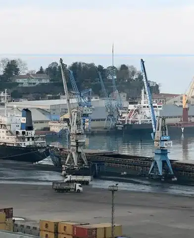 Trabzon Limanı'nda 19 Yasadışı Yaban Hayvan Trofesi Ele Geçirildi!