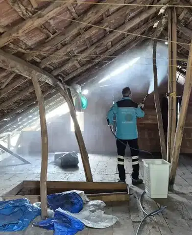 Trabzon'da Kahverengi Kokarcaların Yükselen Tehdidi!