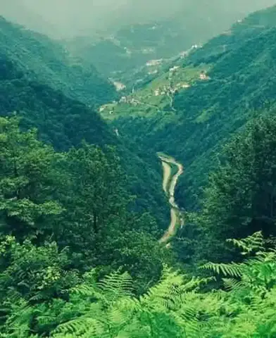 Trabzon'da Orman Sınırlarında Radikal Düzenlemeler Yapıldı