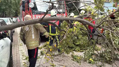 Şiddetli Rüzgar, Beşiktaş'ta Ağaçları Devirdi; Araçlar Hasar Aldı