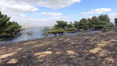 Kadınhanı'nda orman yangını kontrol altına alındı, bilgilendirme çalışmaları artıyor.