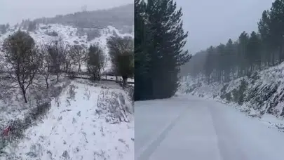 Adana ve Niğde'de Yoğun Kar Yağışı Ulaşımda Aksamalara Neden Oluyor