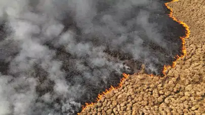 Yüksekova'daki Nehil Sazlığı'nda Yangın: Kuş Cenneti Tehlikede!