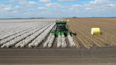 Hilvan'da Pamuk Biçme Makinesi Faciası: Genç Bir Hayat Son Buldu