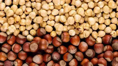 Fındık Fiyatları 9 Kasım’da Düştü, Üreticilerin Beklentileri Değişiyor