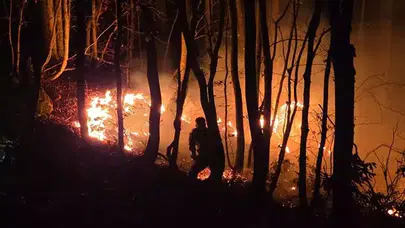 Kumru'da Örtü Yangını Ormana Sıçradı, Ekipler Seferber Oldu