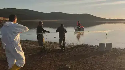 Bolu'da 500 Balık Kurtarıldı: Hayalet Ağa Kapılanlar Kurtarıldı!