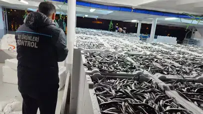 Trabzon'da Hamsi Avcılığı Denetimleri İle Sürdürülebilirlik Sağlanıyor