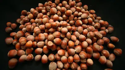 10 Kasım 2025 Fındık Fiyatları: Serbest Piyasada Yükseliş Sürüyor