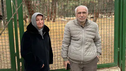 Bulancak'ta Feci Trafik Kazası: İki Kişi Hayatını Kaybetti