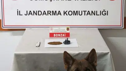 Gümüşhane'de Uyuşturucu Operasyonunda İki Şüpheli Gözaltına Alındı