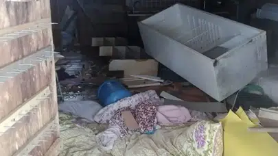 "Trabzon'da Ayıların Yayla Evlerine Saldırıları Artıyor!"