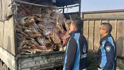 Nizip'te Bozuk Et Taşıyan Kamyonet Durduruldu, Sürücü Gözaltına Alındı
