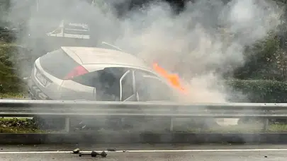 Giresun'da Kaza: Sürücünün Kontrolü Kaybetmesiyle Araç Alev Aldı