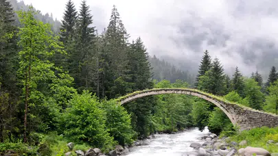 Türkiye Su Sıkıntısı Riskiyle Yüzyüze: Ormanların Önemi Artıyor