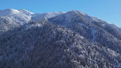 Rize ve Artvin'de Kar Yağışı Başladı, Kayak Sezonu Açıldı!