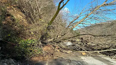 Trabzon'da Heyelan Sonrası Ulaşım Durdu, Çalışmalar Hızla Devam Ediyor