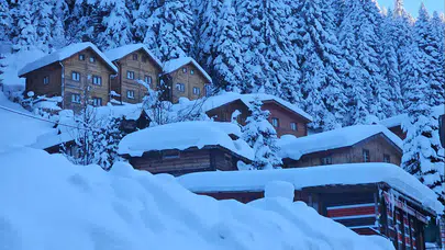 Doğu Karadeniz'de Yoğun Kar, 404 Yerleşim Yerini Ulaşıma Kapattı